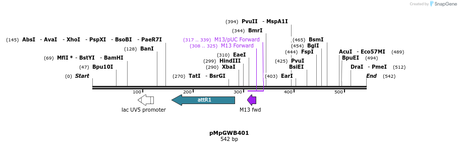 152559_map