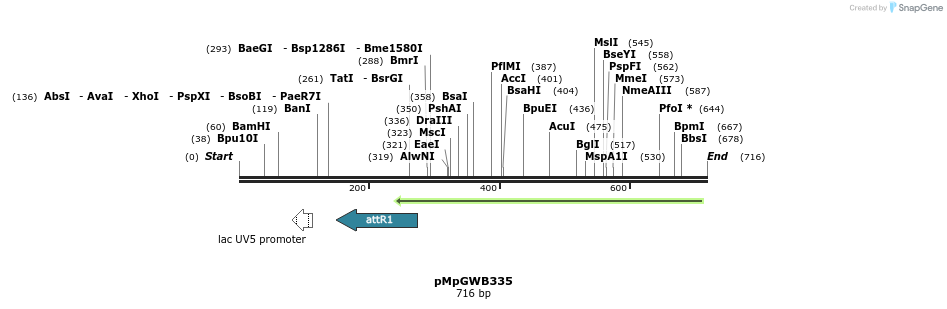 152564_map