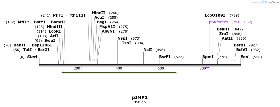 152568_map