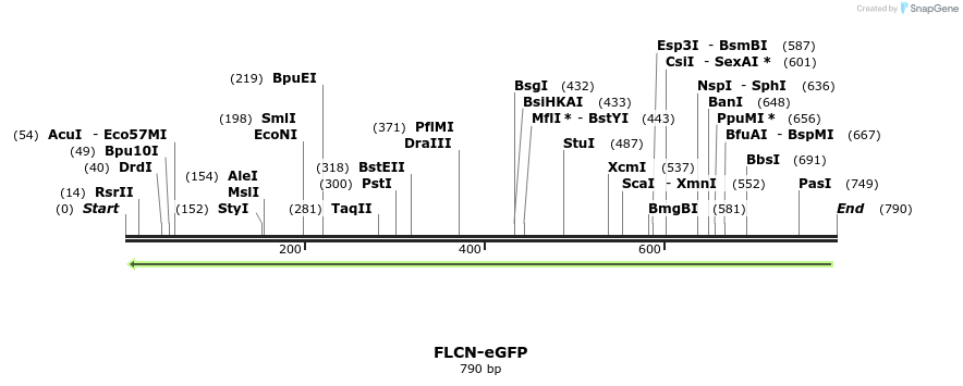 152590_map
