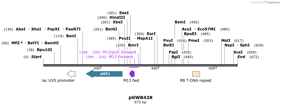 152598_map