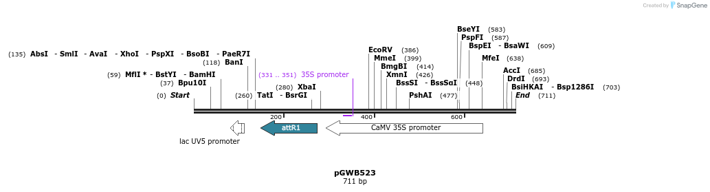 152604_map
