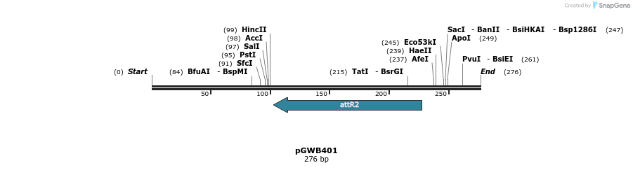 152606_map