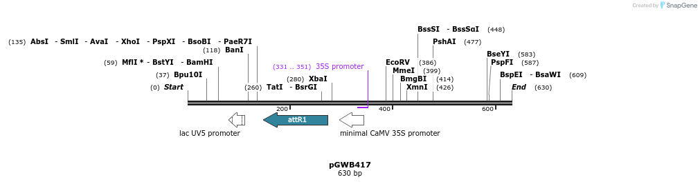 152607_map