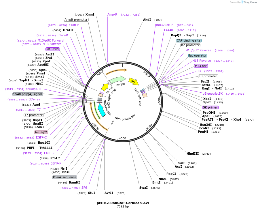 152622_map