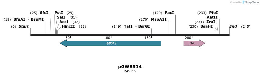 152628_map