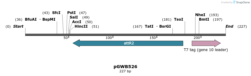 152636_map