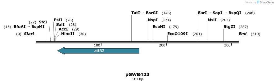 152642_map
