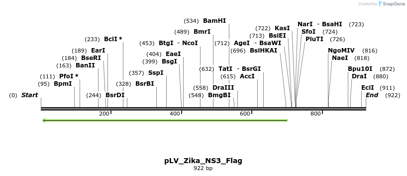 152676_map