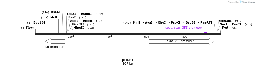 152691_map