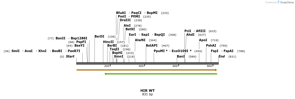 152694_map