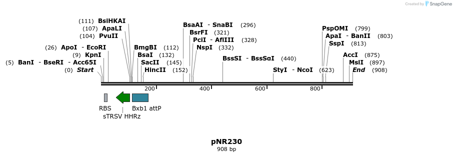 152741_map