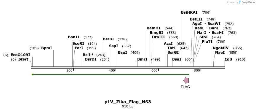 152752_map