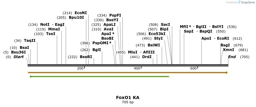 152780_map