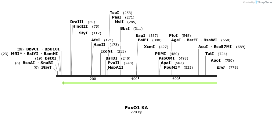 152784_map