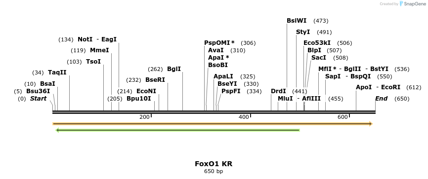 152793_map