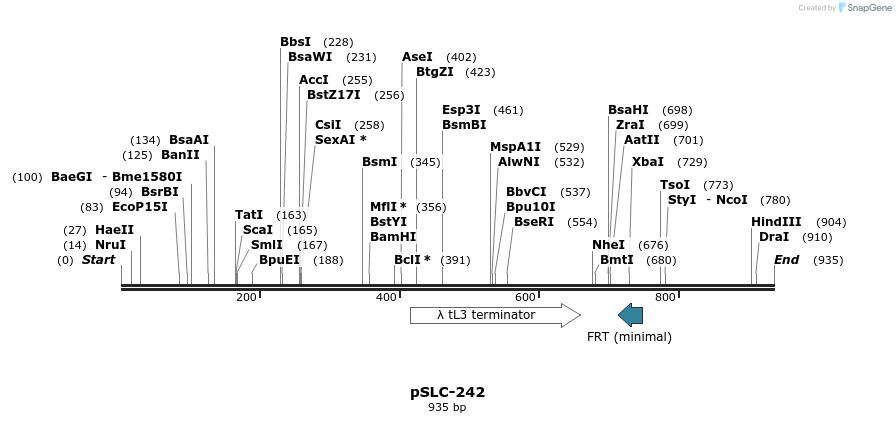 152794_map