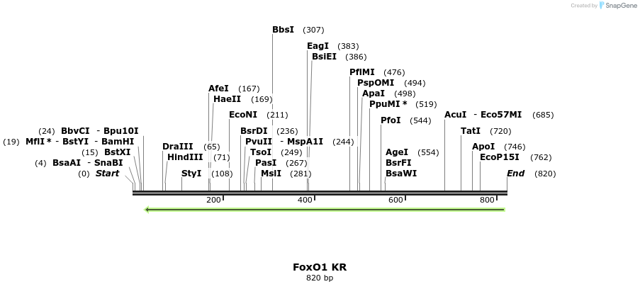 152795_map