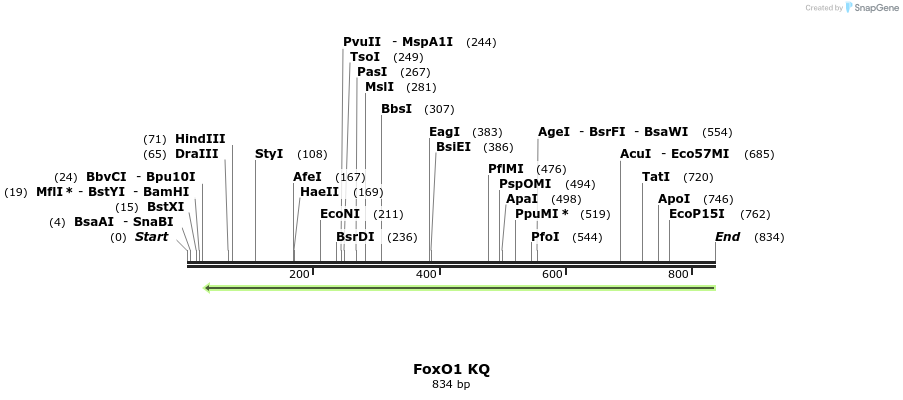 152797_map