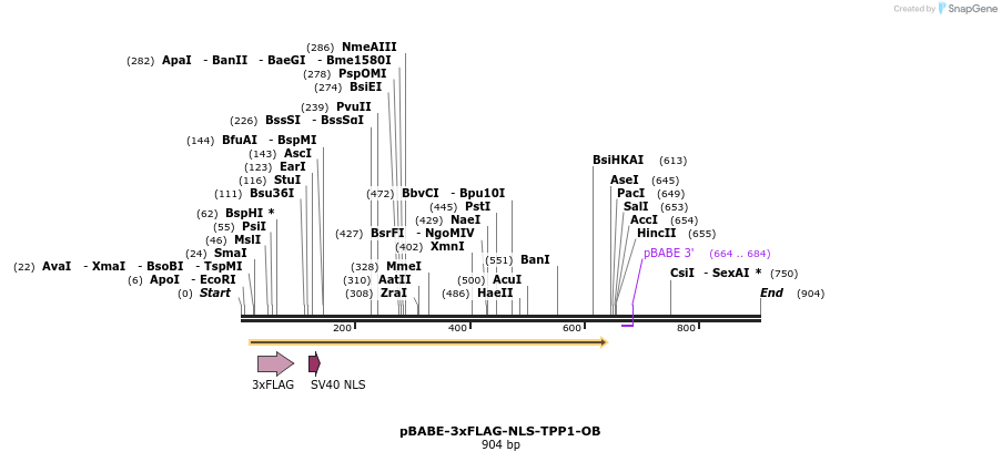 152809_map