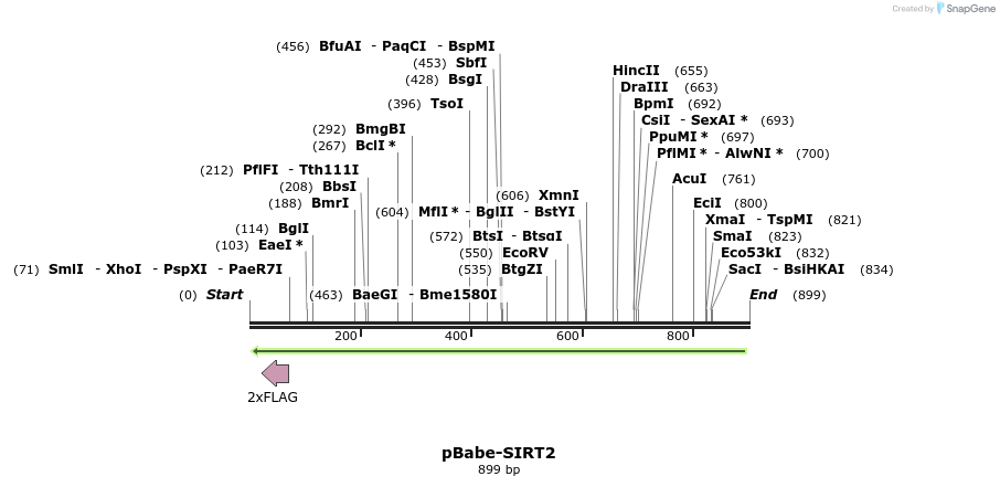 152818_map