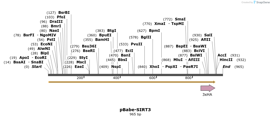 152822_map