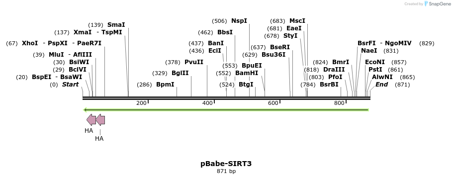 152824_map