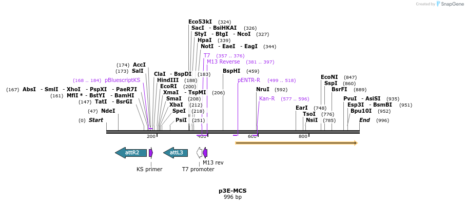 152827_map