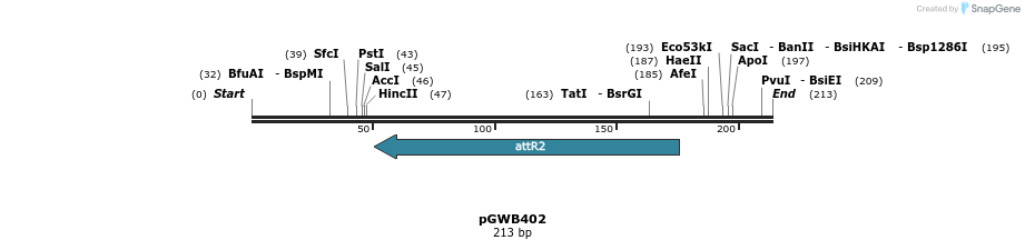 152837_map