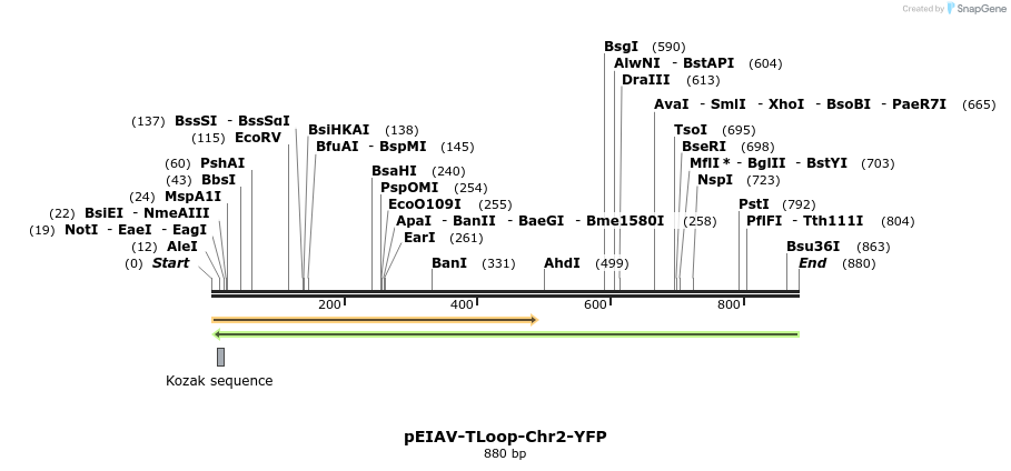 152838_map
