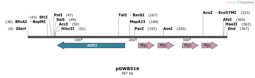 152841_map