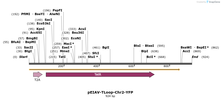 152843_map
