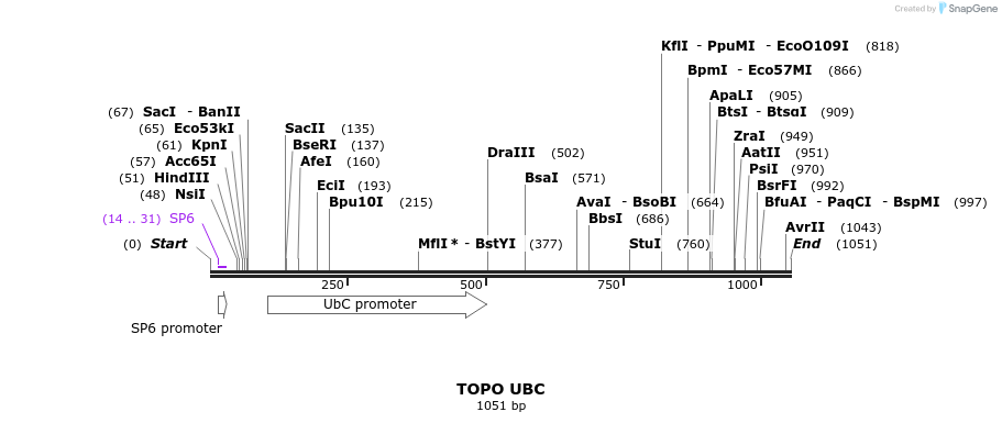 152852_map