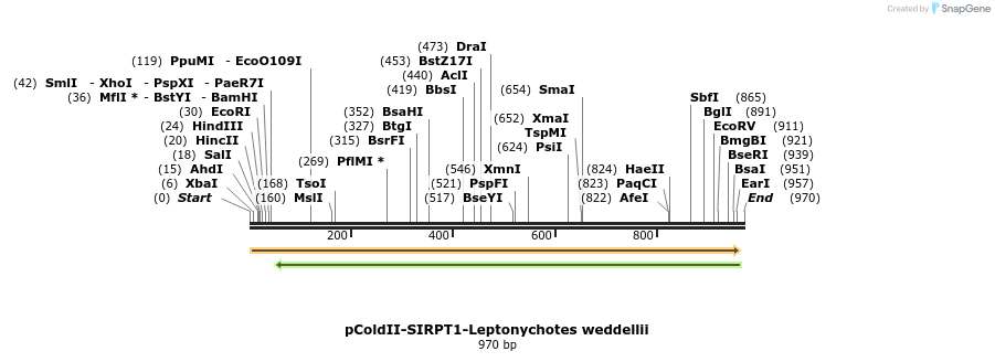 152869_map