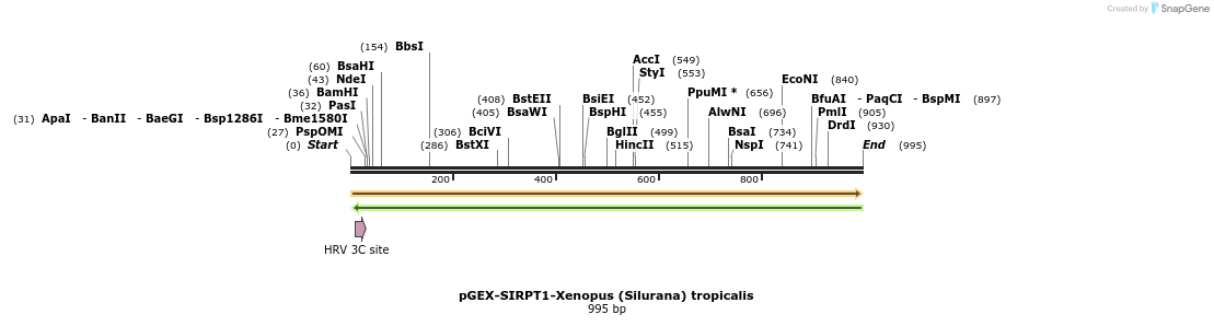 152871_map