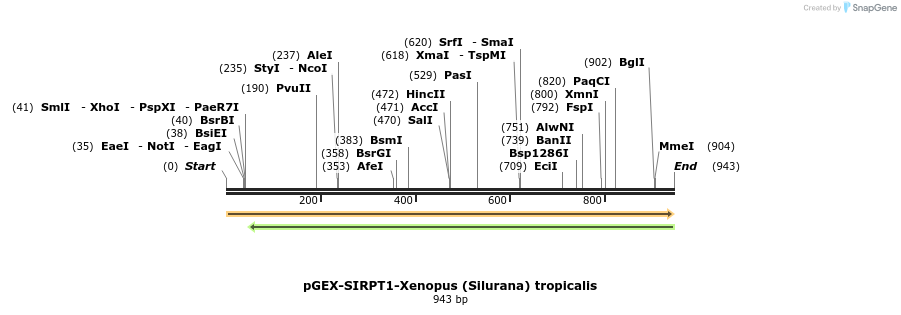 152872_map
