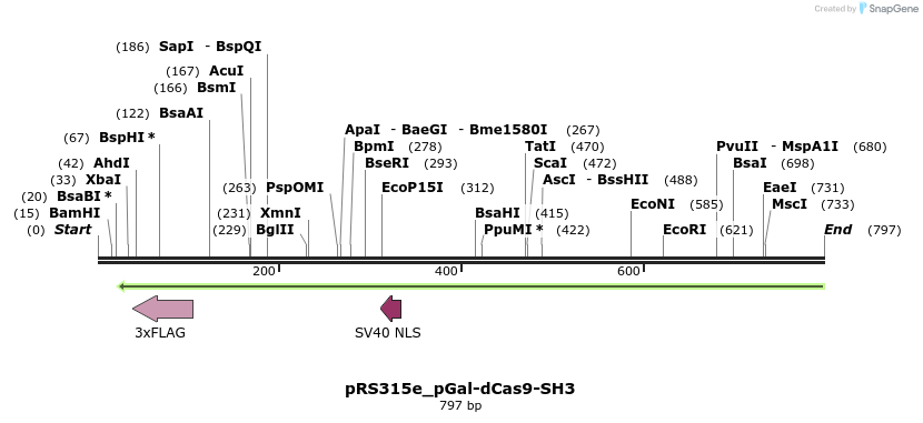 152881_map