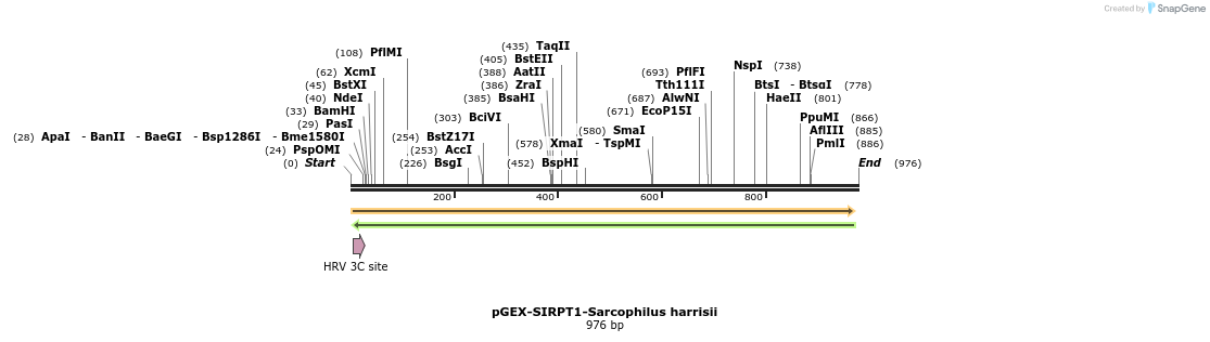 152882_map