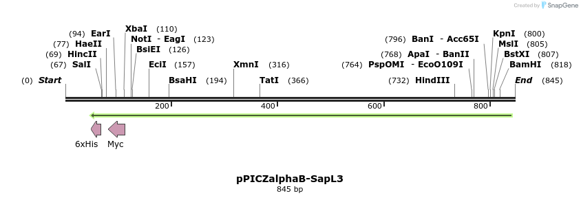 152883_map