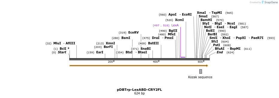152887_map