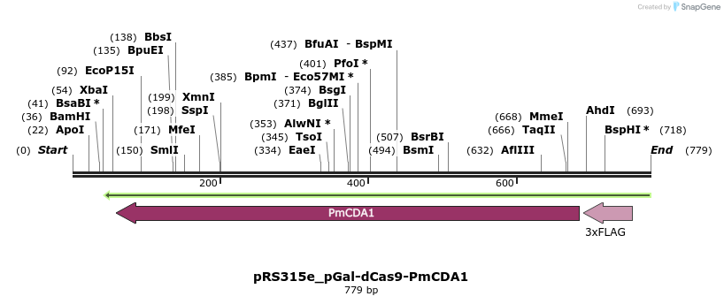 152889_map