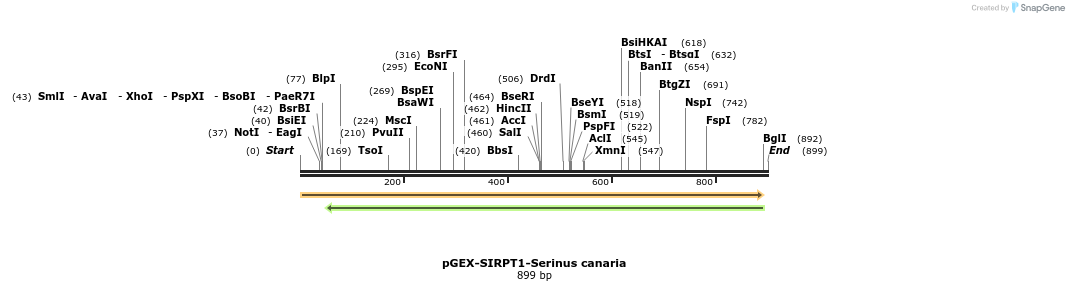 152899_map