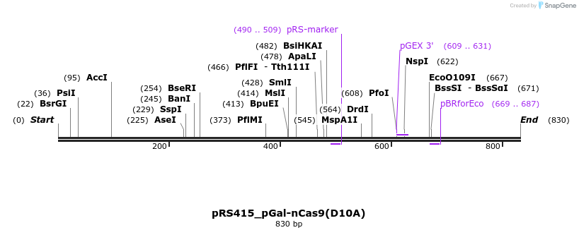 152904_map