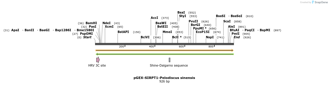152905_map