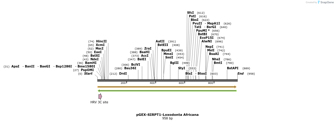 152909_map