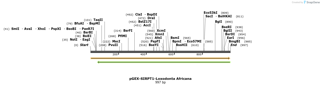 152911_map