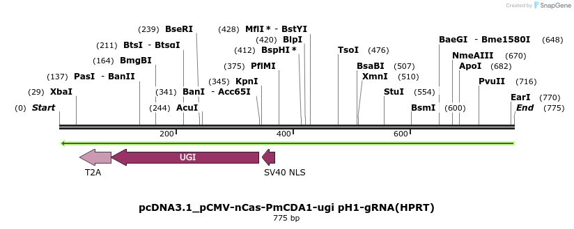 152913_map