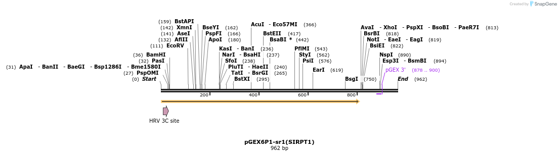 152921_map