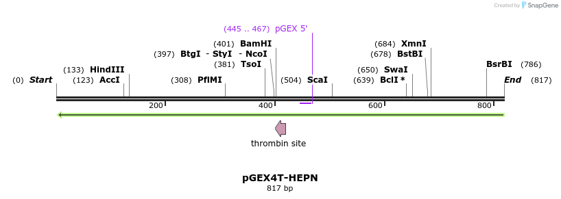 152933_map