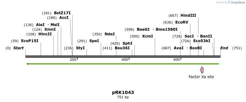 152951_map